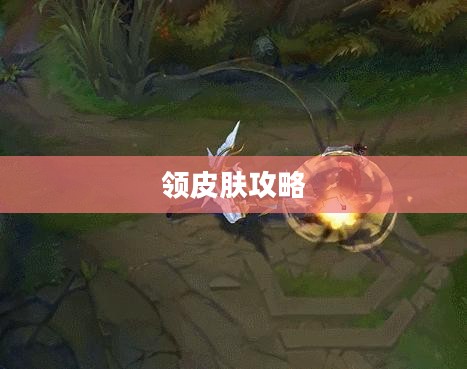 英雄联盟领皮肤攻略大全