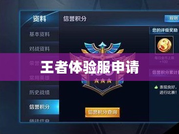 王者体验服申请攻略，如何顺利获取独家游戏体验