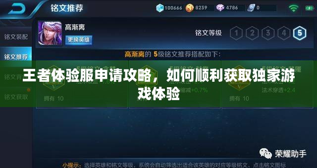 王者体验服申请攻略，如何顺利获取独家游戏体验