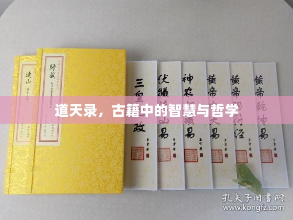 道天录，古籍中的智慧与哲学