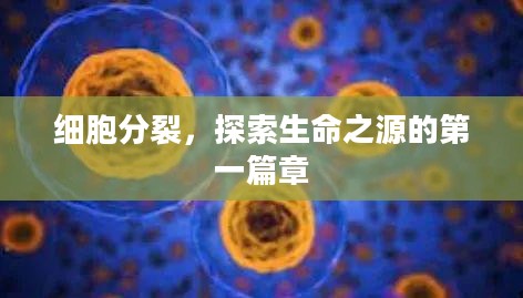 细胞分裂，探索生命之源的第一篇章