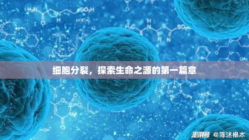 细胞分裂，探索生命之源的第一篇章