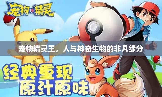 宠物精灵王，人与神奇生物的非凡缘分