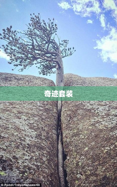 奇迹套装大全，探索神秘力量的无尽魅力