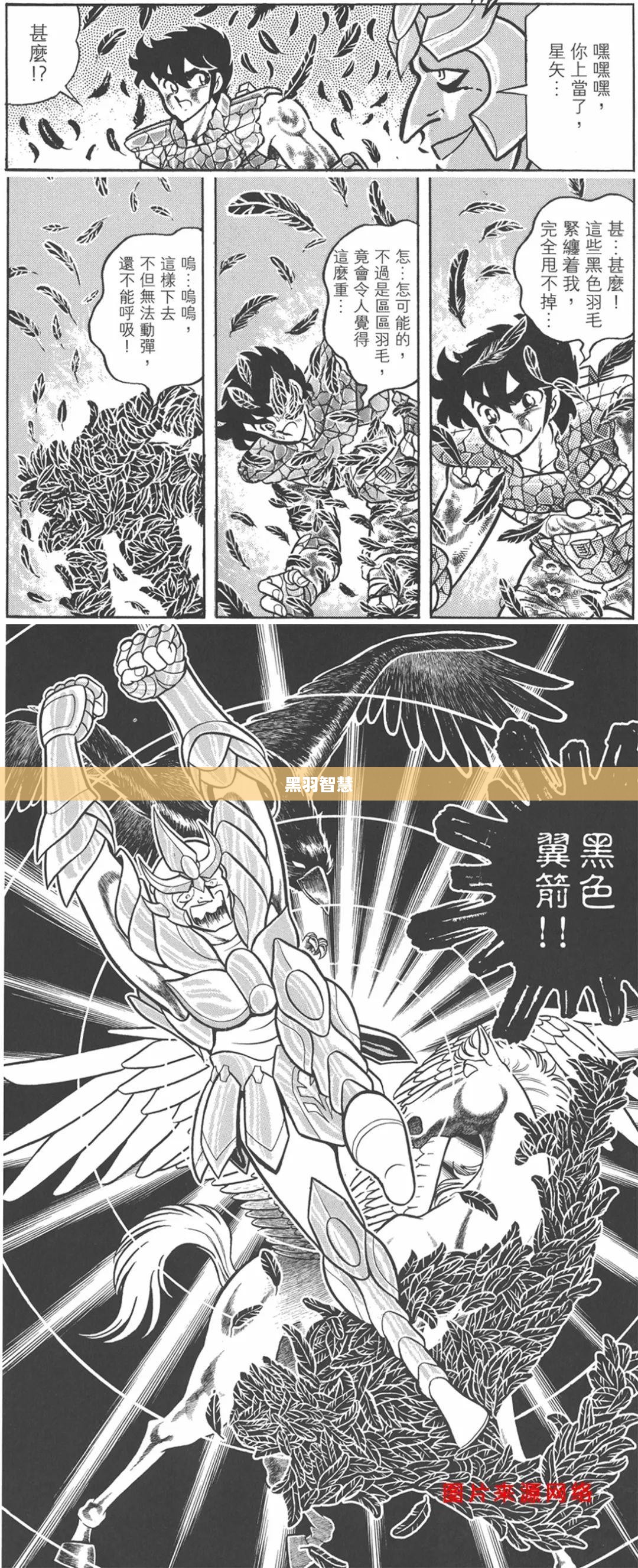 乌鸦天赋，揭示神秘的黑羽智慧