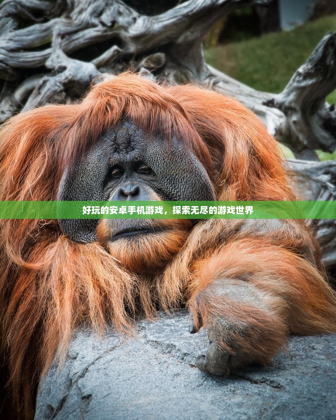 好玩的安卓手机游戏,探索无尽的游戏世界 好玩的安卓手机游戏,探索无尽的游戏世界