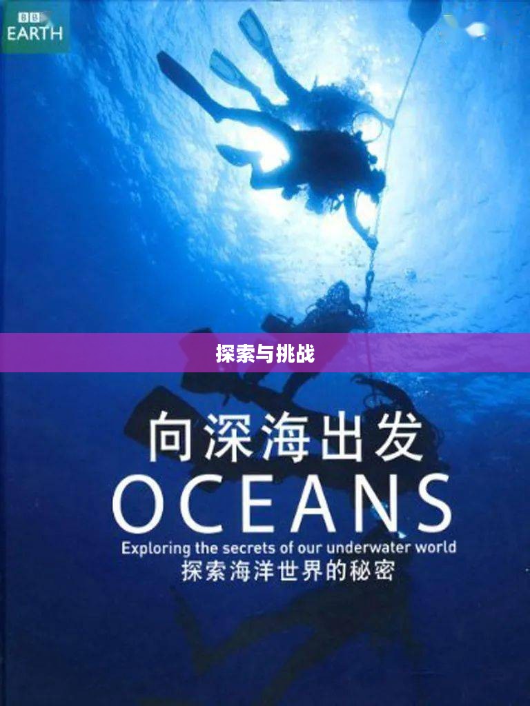 海洋时代，探索与挑战的无尽篇章