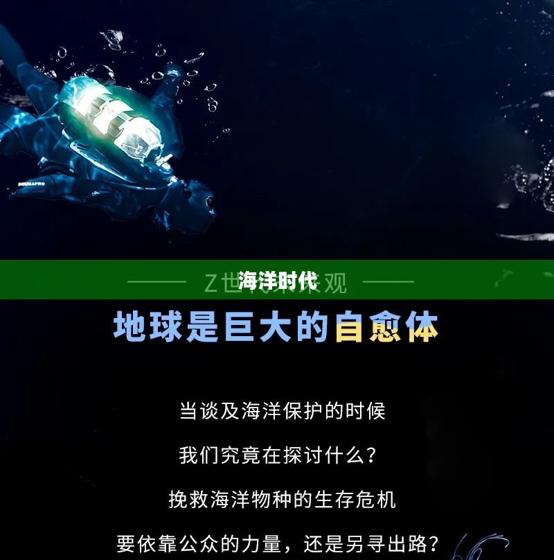 海洋时代，探索与挑战的无尽篇章