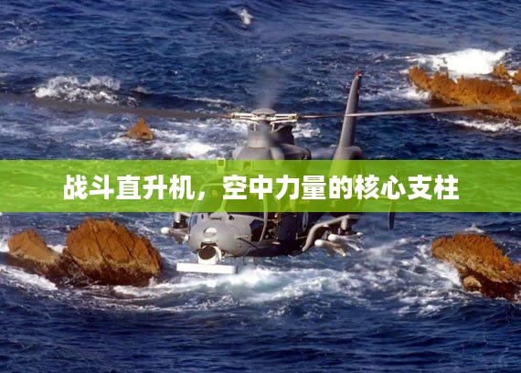 战斗直升机，空中力量的核心支柱