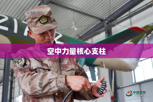 战斗直升机，空中力量的核心支柱