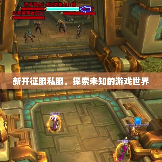 新开征服私服，探索未知的游戏世界