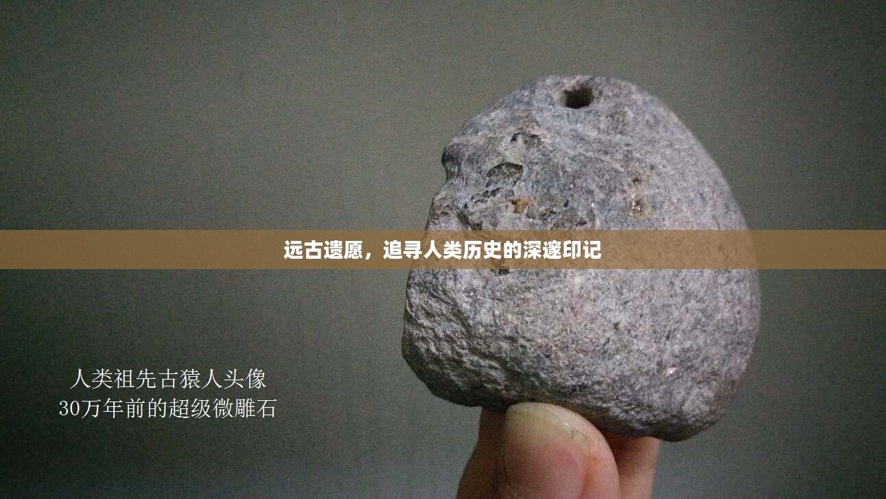远古遗愿，追寻人类历史的深邃印记