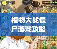 植物大战僵尸游戏攻略，玩转植物与僵尸的较量