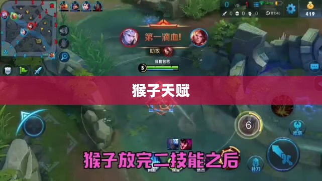 猴子天赋，探索自然智慧之源