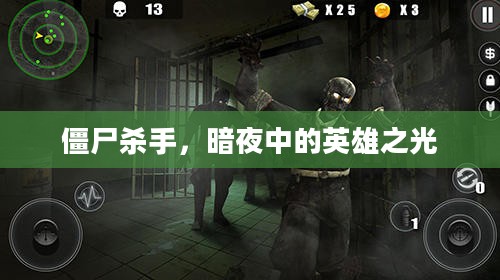 僵尸杀手，暗夜中的英雄之光