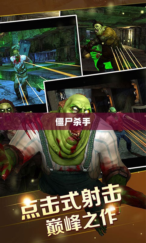 僵尸杀手，暗夜中的英雄之光