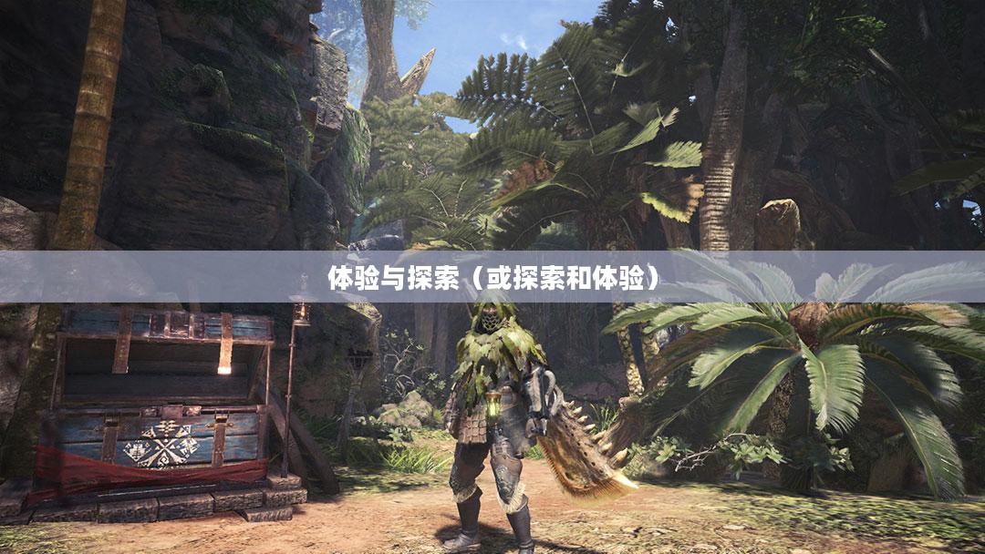 笔记本单机游戏，体验与探索