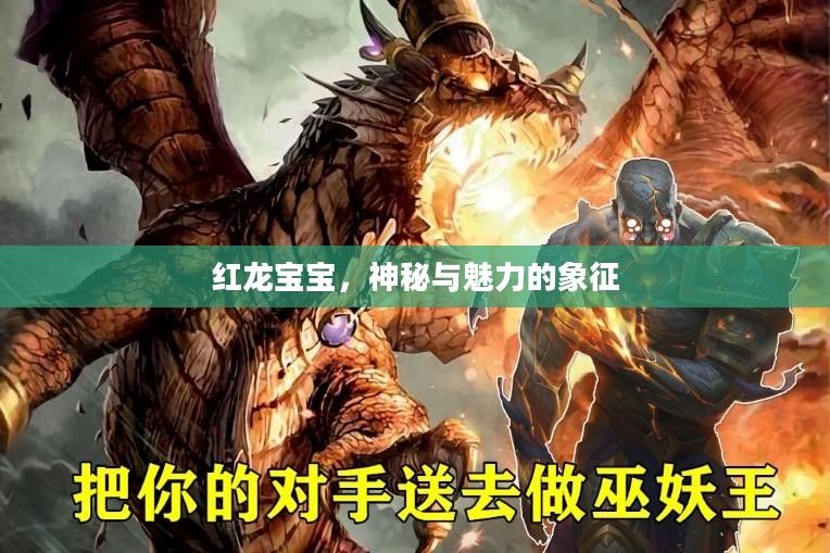 红龙宝宝，神秘与魅力的象征
