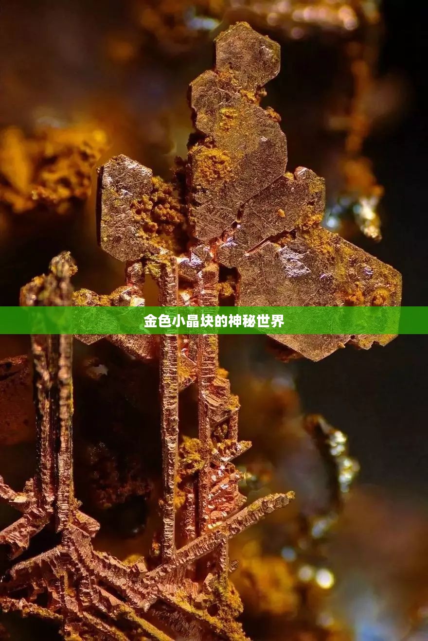 金色小晶块的神秘世界