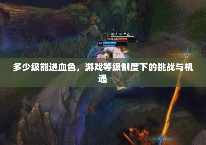多少级能进血色，游戏等级制度下的挑战与机遇
