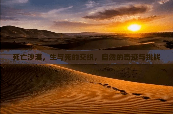死亡沙漠，生与死的交织，自然的奇迹与挑战