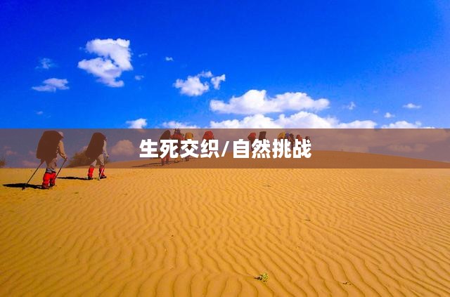 死亡沙漠，生与死的交织，自然的奇迹与挑战