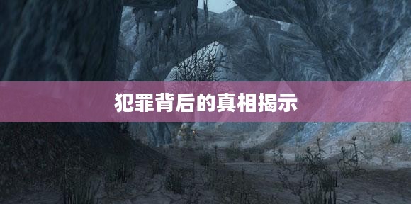 盗贼赚钱的黑暗世界，揭示犯罪背后的真相