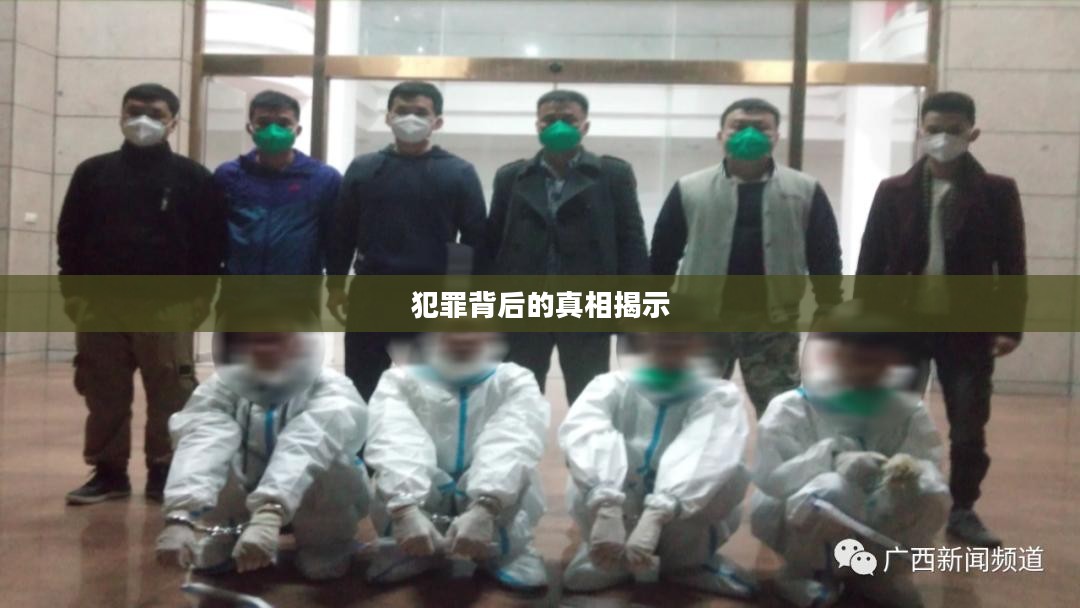 盗贼赚钱的黑暗世界，揭示犯罪背后的真相
