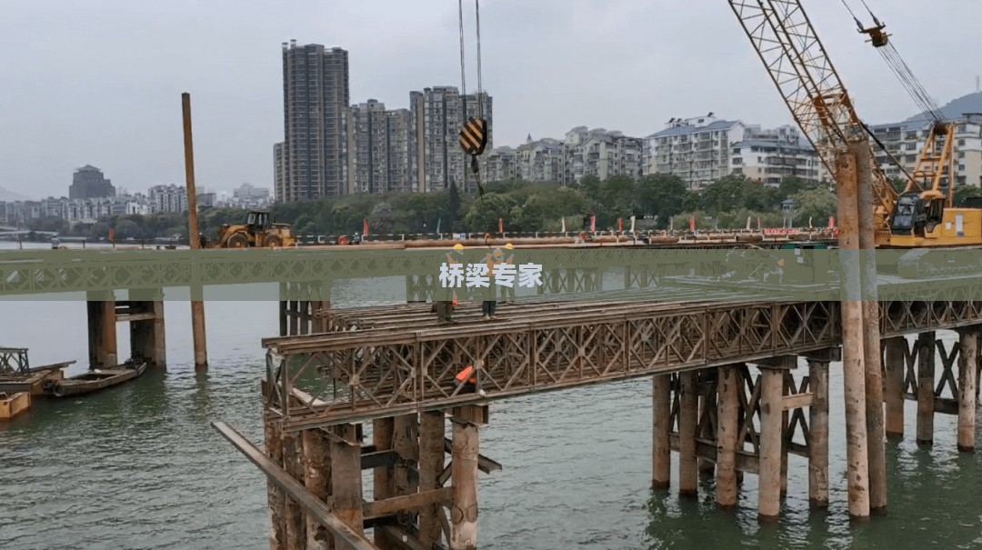 桥梁专家，筑梦跨域，连接未来的关键力量