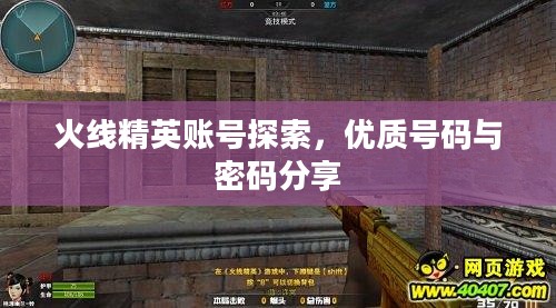 火线精英账号探索，优质号码与密码分享