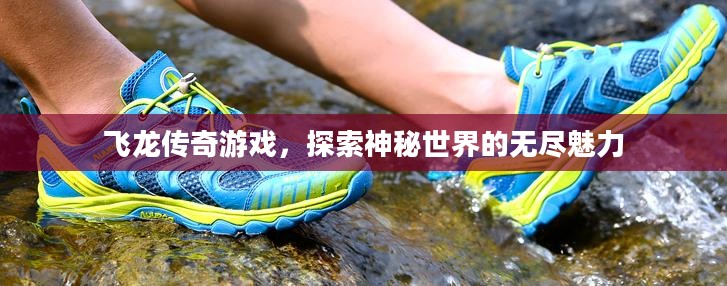 飞龙传奇游戏，探索神秘世界的无尽魅力