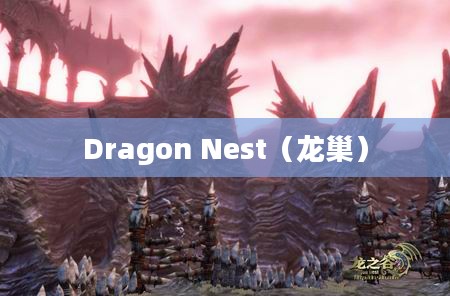 探索神秘的Dragon Nest