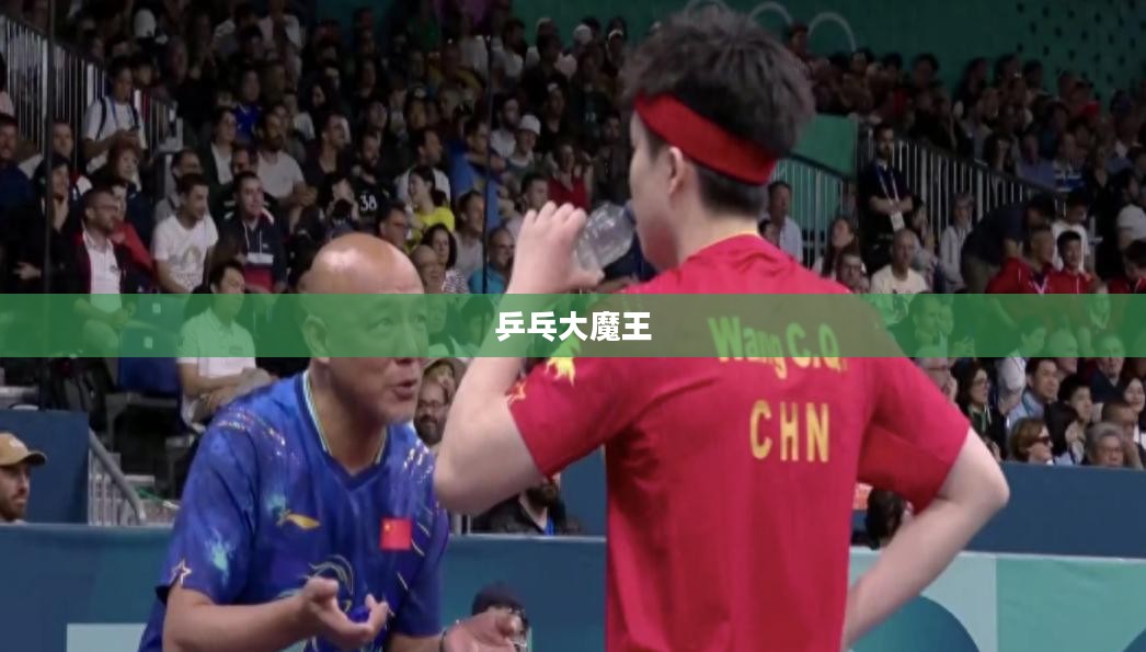 乒乓大魔王，传奇之路与荣耀时刻