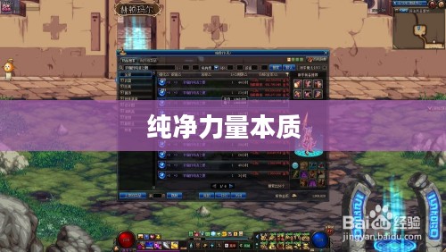 浓缩的纯洁之骸，探寻纯净力量的本质