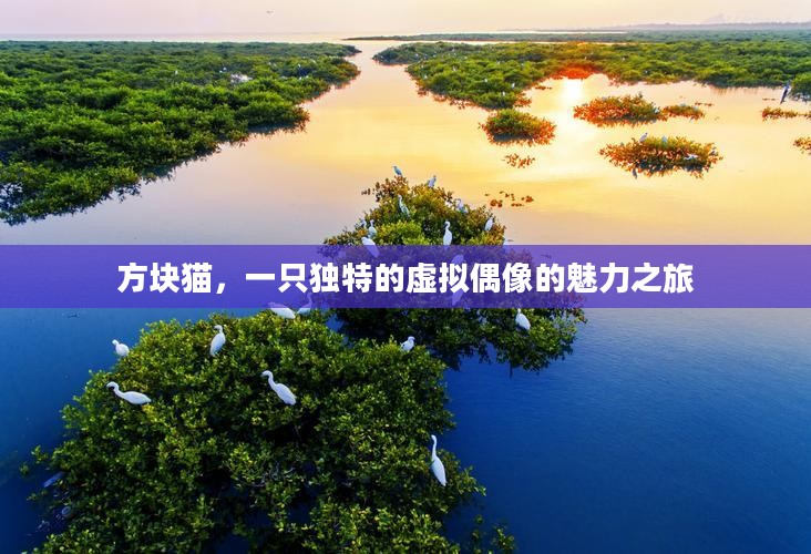 方块猫，一只独特的虚拟偶像的魅力之旅