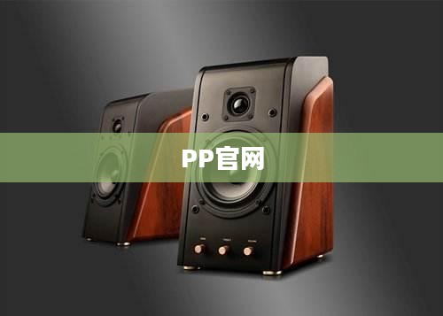 PP官网，探索新一代在线平台的无限可能