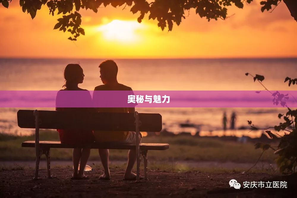 恋爱盒子的奥秘与魅力