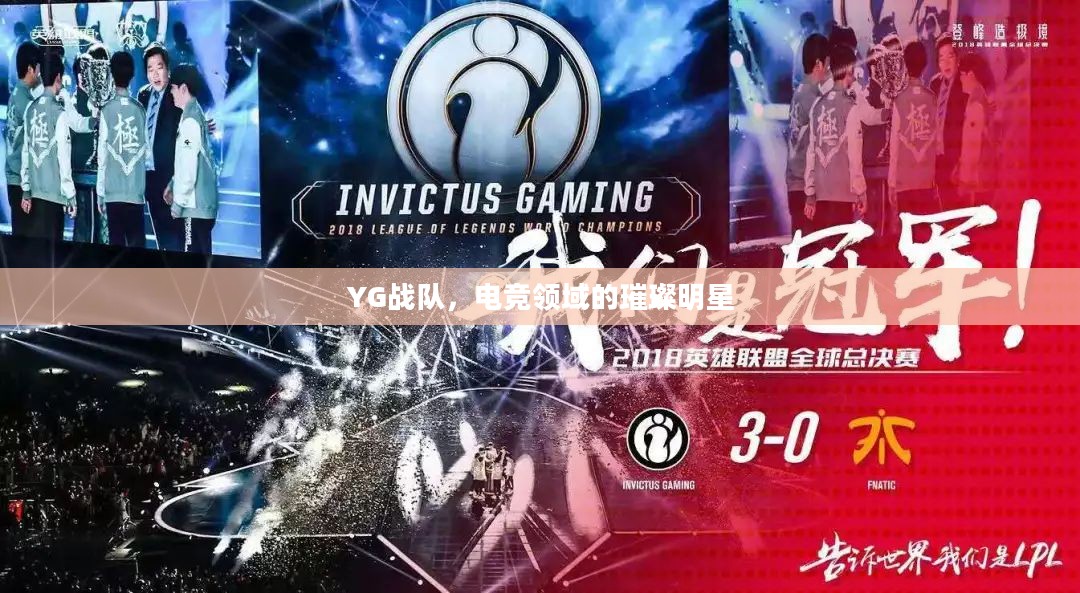 YG战队，电竞领域的璀璨明星