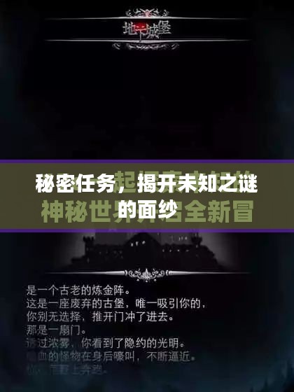 秘密任务，揭开未知之谜的面纱