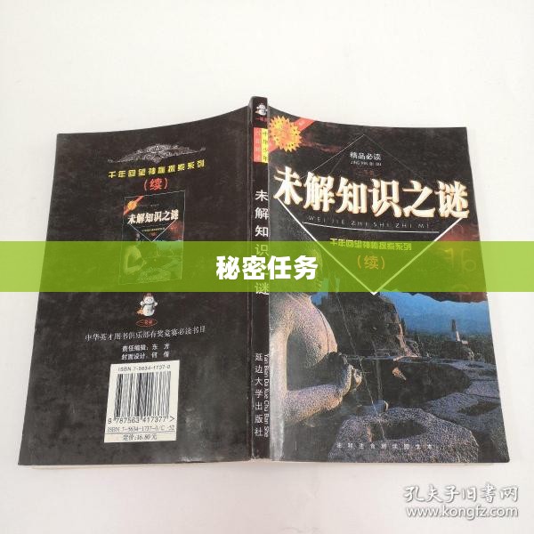 秘密任务，揭开未知之谜的面纱