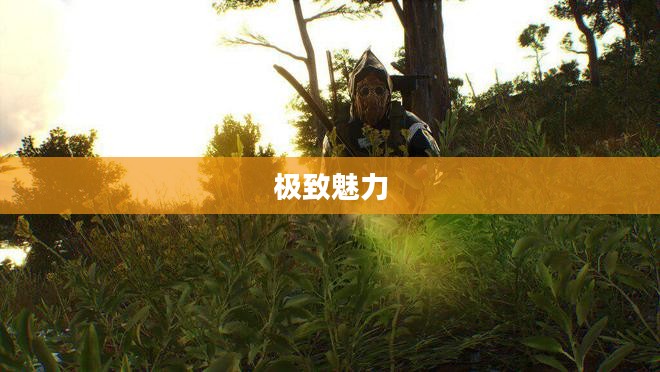 绝命手游，探索生存与竞技的极致魅力