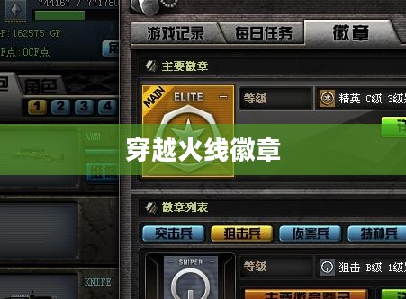 穿越火线徽章，荣誉的象征与玩家的追求