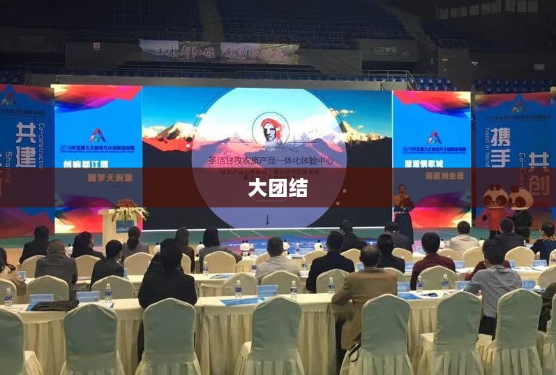 大团结下载，共创未来的力量之源