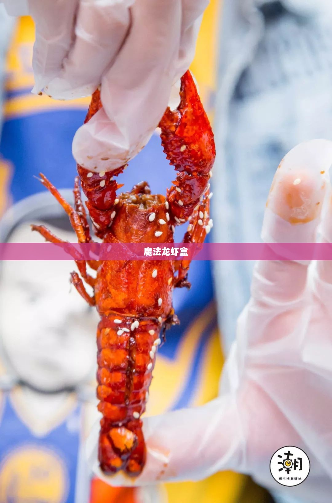 魔法龙虾盒，神秘与美味的完美结合