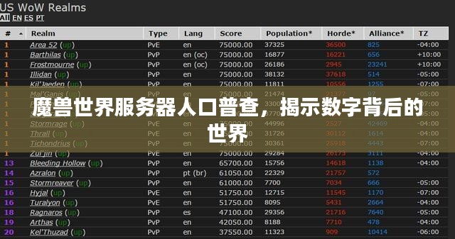 魔兽世界服务器人口普查，揭示数字背后的世界