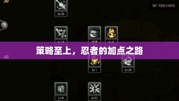 策略至上，忍者的加点之路
