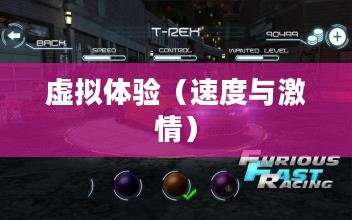 网络赛车游戏下载，速度与激情的虚拟体验