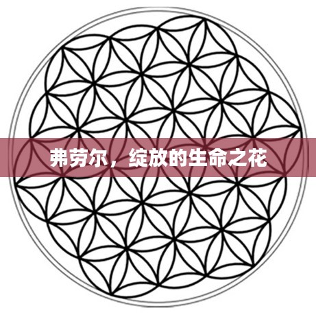 弗劳尔，绽放的生命之花