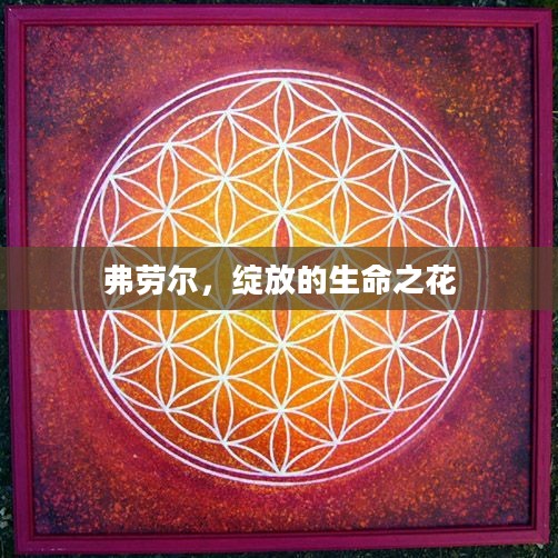 弗劳尔，绽放的生命之花