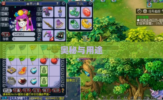 星之碎片的奥秘与用途